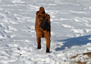 Macht das Spass