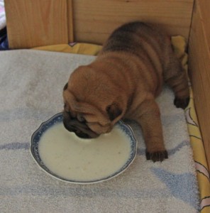 Ist das lecker!