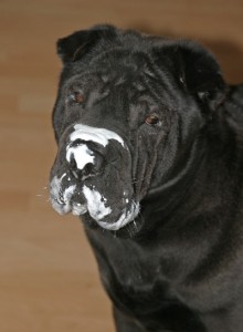 Mir schmeckt der Jogurth auch :-)
