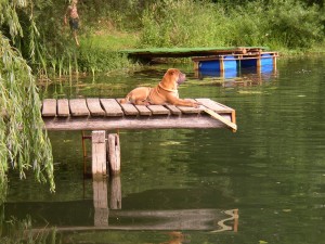 hier ist es doch sicherer